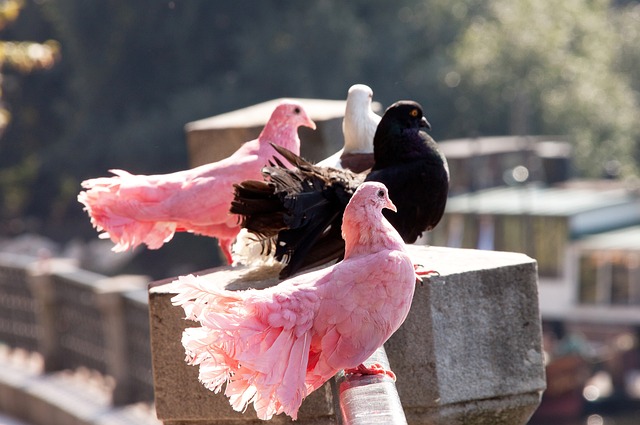 維尼修斯與皇馬續約至2027年 解約金高達10億歐元!.