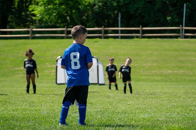 也可能导致 也可能导致