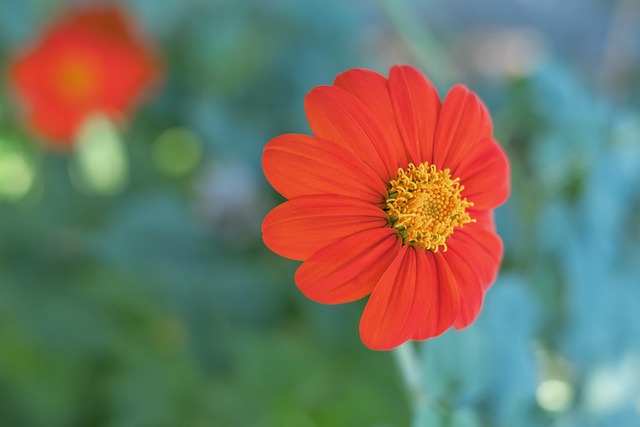 不确定性的 不确定性的