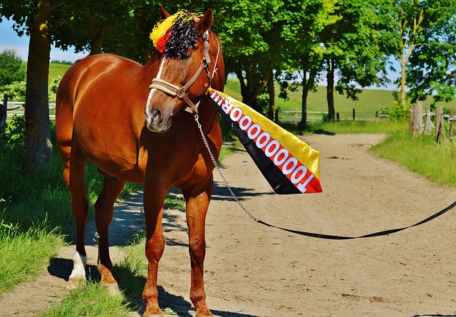 或许几年后 或许几年后