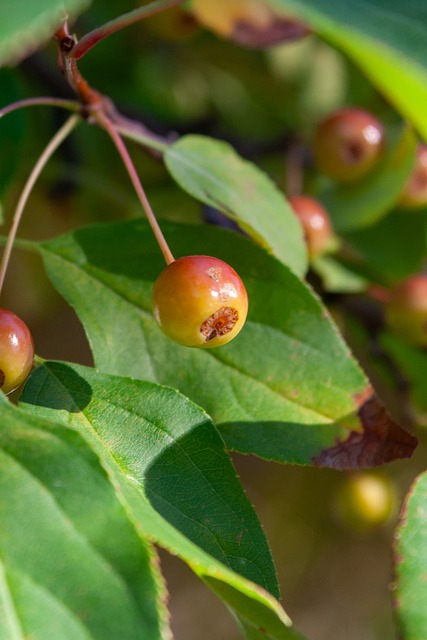 武磊以进球 武磊以进球